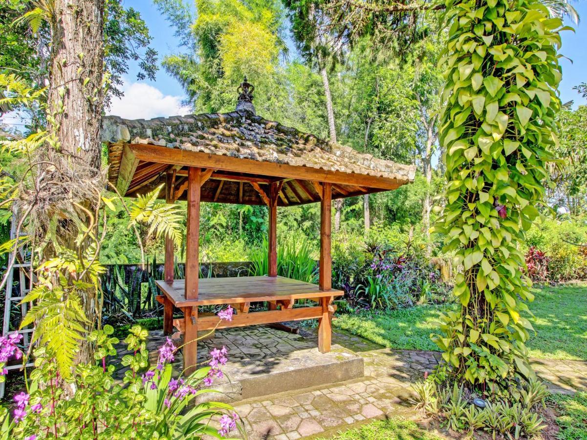 Collection O 91319 Bokashi Lodge Gobleg  エクステリア 写真